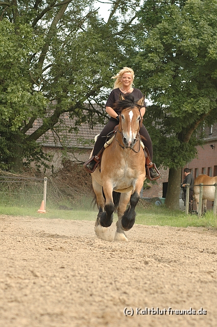 DSC_7520.JPG - Texel PETRA !)))