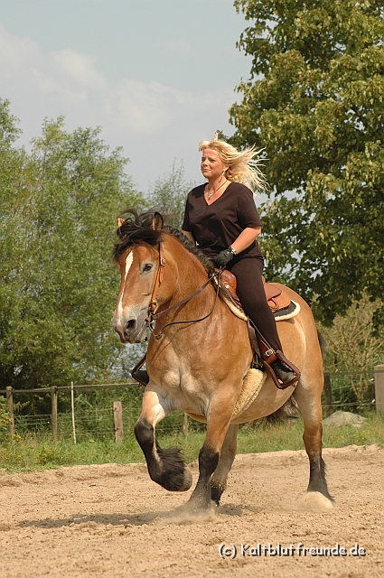 DSC_7527.JPG - Texel PETRA !)))
