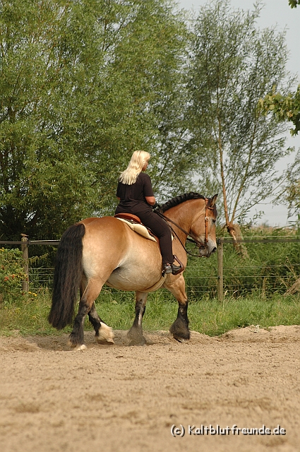 DSC_7531.JPG - Texel PETRA !)))