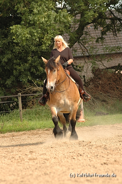 DSC_7534.JPG - Texel PETRA !)))