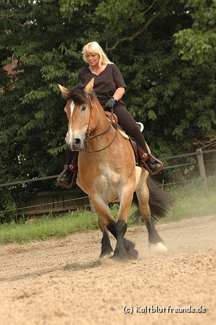 DSC_7535.JPG - Texel PETRA !)))
