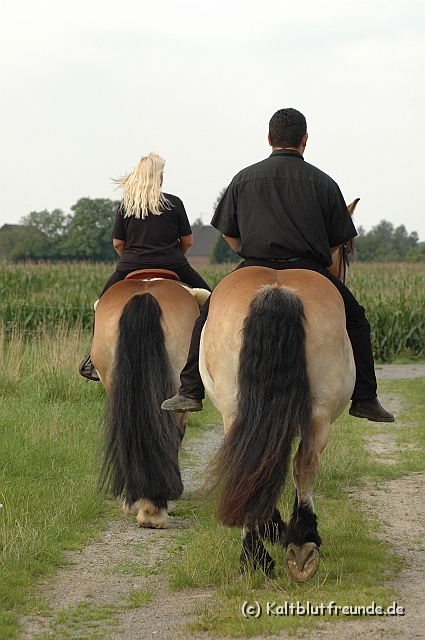 DSC_7542.JPG - Texel PETRA !)))