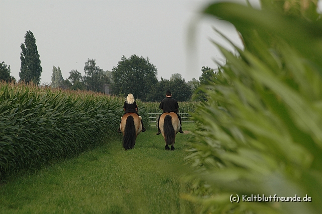 DSC_7548.JPG - Texel PETRA !)))