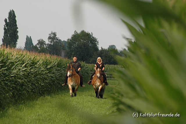 DSC_7554.JPG - Texel PETRA !)))