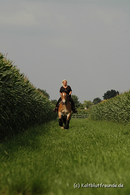 DSC_7595.JPG - Texel PETRA !)))