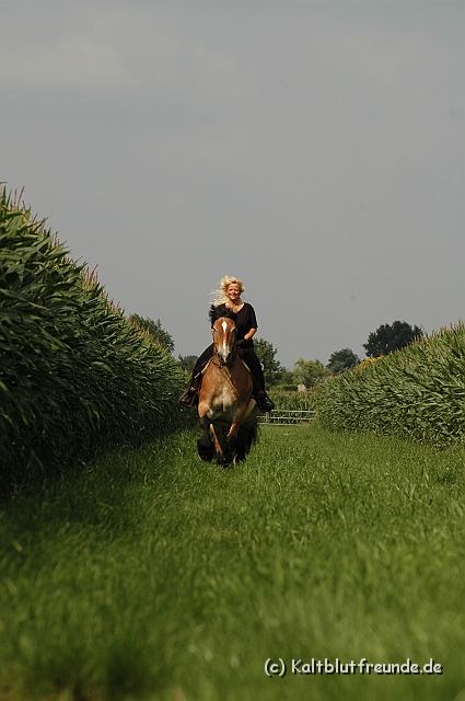 DSC_7596.JPG - Texel PETRA !)))