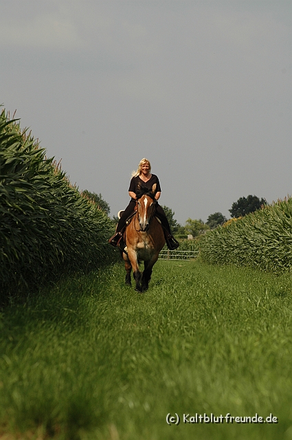 DSC_7597.JPG - Texel PETRA !)))