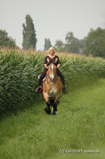 DSC_7598.JPG - Texel PETRA !)))