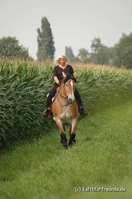 DSC_7600.JPG - Texel PETRA !)))