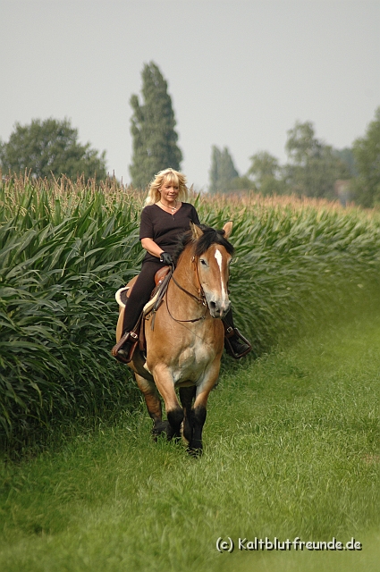 DSC_7602.JPG - Texel PETRA !)))