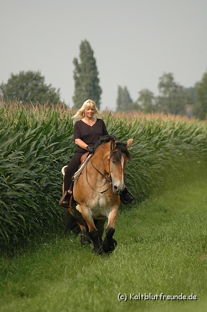 DSC_7603.JPG - Texel PETRA !)))