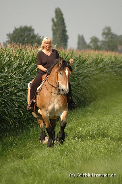 DSC_7606.JPG - Texel PETRA !)))