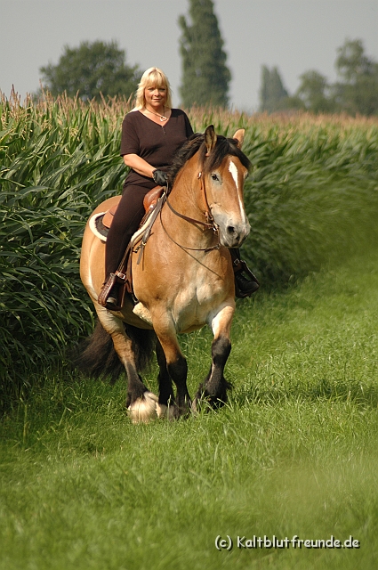 DSC_7608.JPG - Texel PETRA !)))