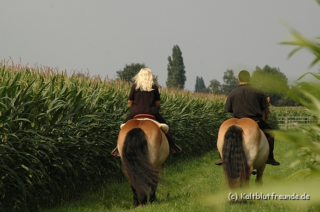 DSC_7620.JPG - Texel PETRA !)))