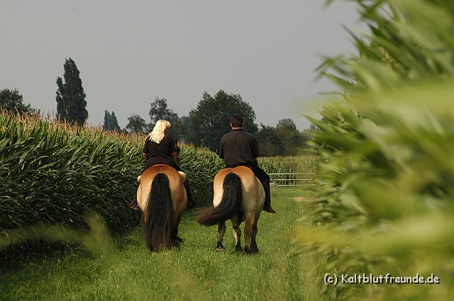 DSC_7621.JPG - Texel PETRA !)))