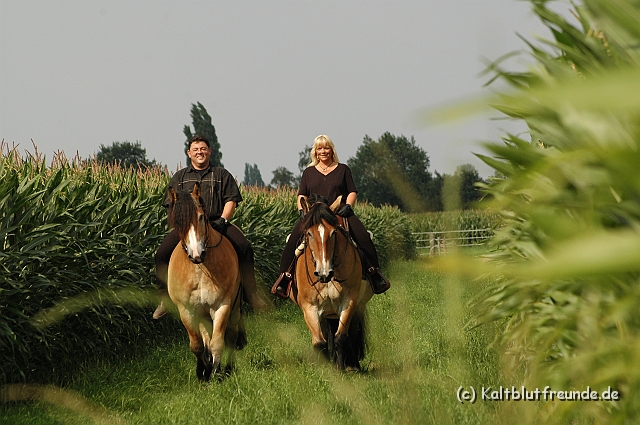 DSC_7631.JPG - Texel PETRA !)))