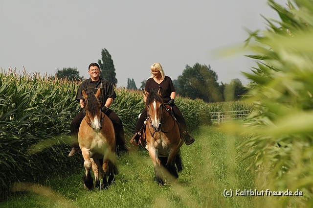 DSC_7633.JPG - Texel PETRA !)))