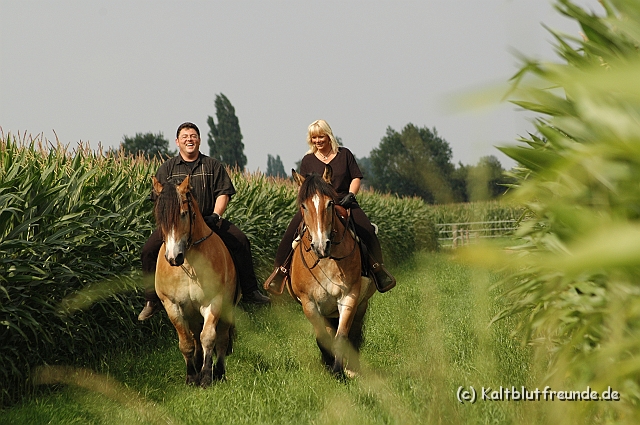 DSC_7634.JPG - Texel PETRA !)))