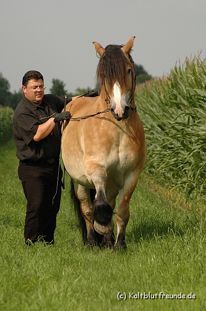 DSC_7647.JPG - Texel PETRA !)))