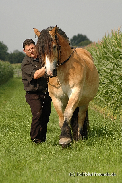 DSC_7648.JPG - Texel PETRA !)))