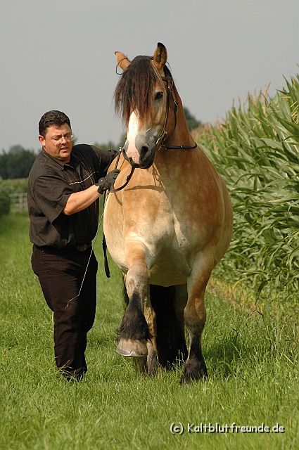 DSC_7650.JPG - Texel PETRA !)))