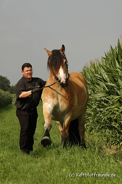 DSC_7670.JPG - Texel PETRA !)))