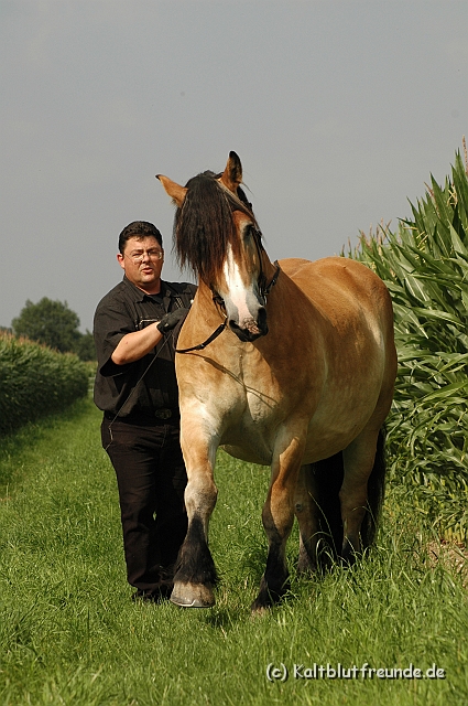 DSC_7674.JPG - Texel PETRA !)))