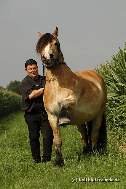 DSC_7676.JPG - Texel PETRA !)))