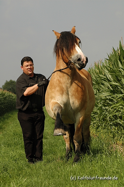 DSC_7678.JPG - Texel PETRA !)))