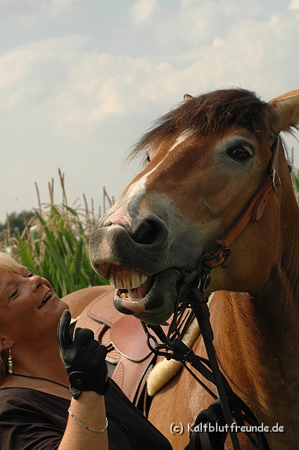 DSC_7684.JPG - Texel PETRA !)))