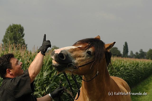DSC_7686.JPG - Texel PETRA !)))