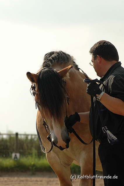 DSC_7707.JPG - Texel PETRA !)))