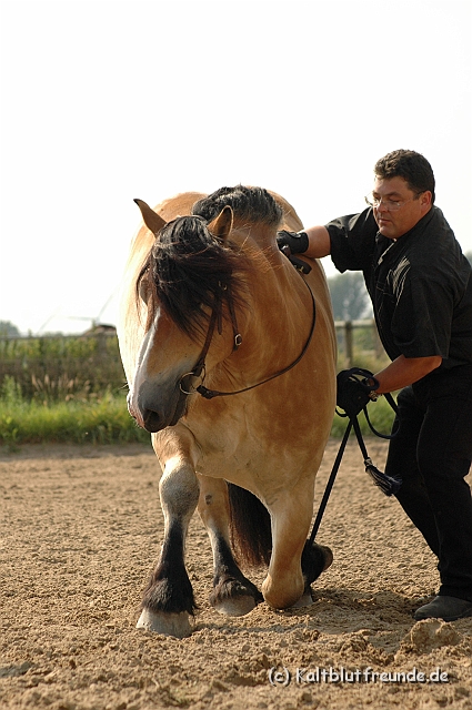 DSC_7710.JPG - Texel PETRA !)))