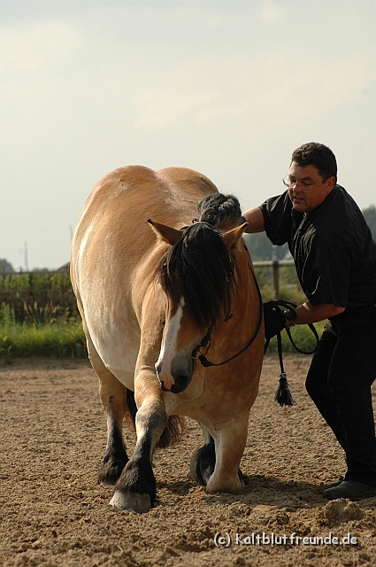 DSC_7711.JPG - Texel PETRA !)))