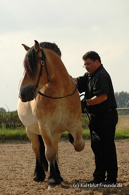 DSC_7713.JPG - Texel PETRA !)))
