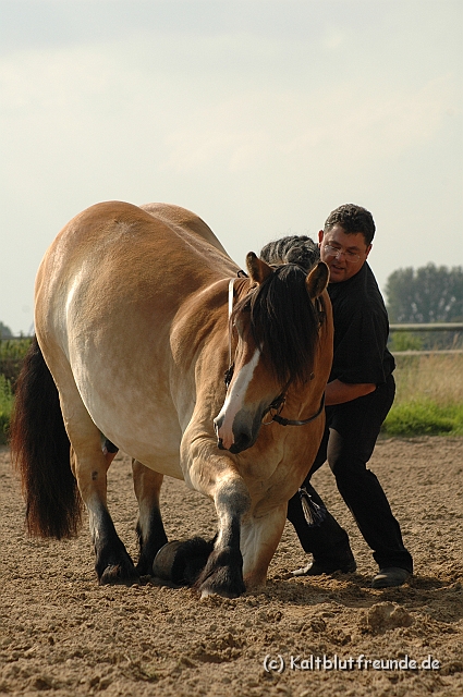 DSC_7717.JPG - Texel PETRA !)))
