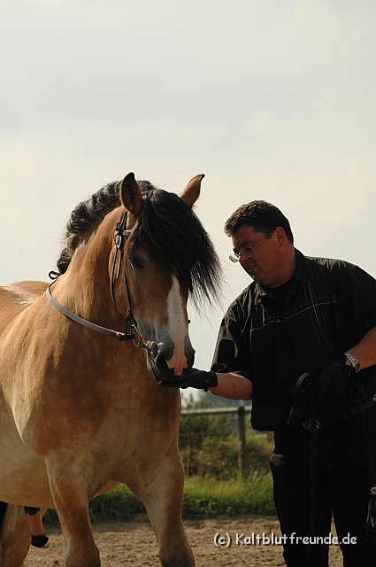 DSC_7719.JPG - Texel PETRA !)))