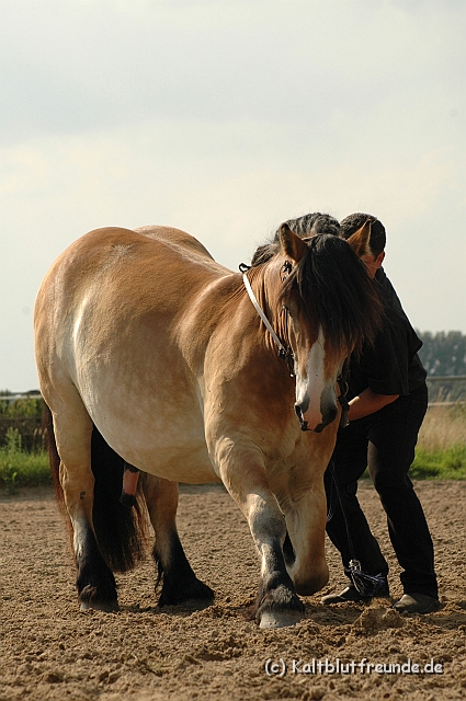 DSC_7722.JPG - Texel PETRA !)))