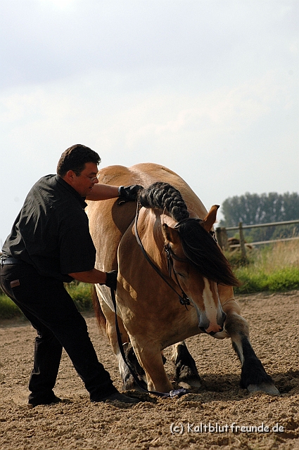 DSC_7731.JPG - Texel PETRA !)))