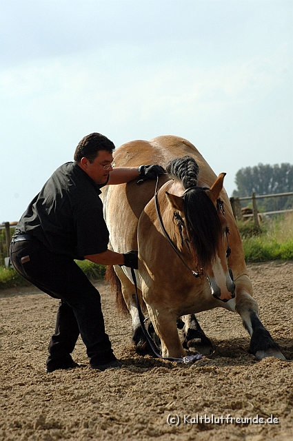 DSC_7732.JPG - Texel PETRA !)))