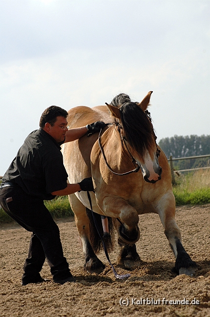DSC_7733.JPG - Texel PETRA !)))