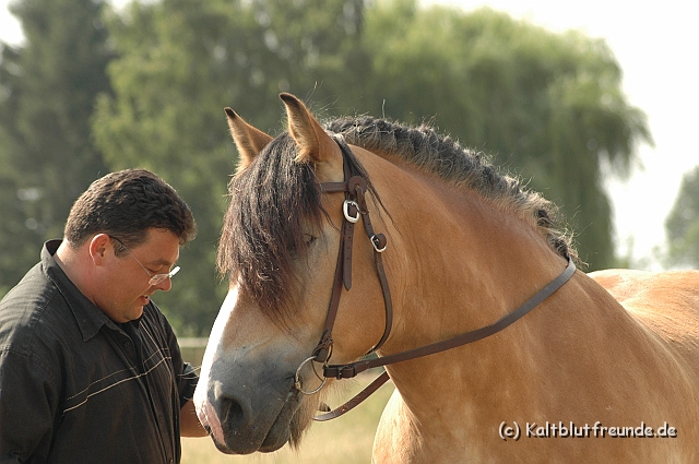 DSC_7743.JPG - Texel PETRA !)))