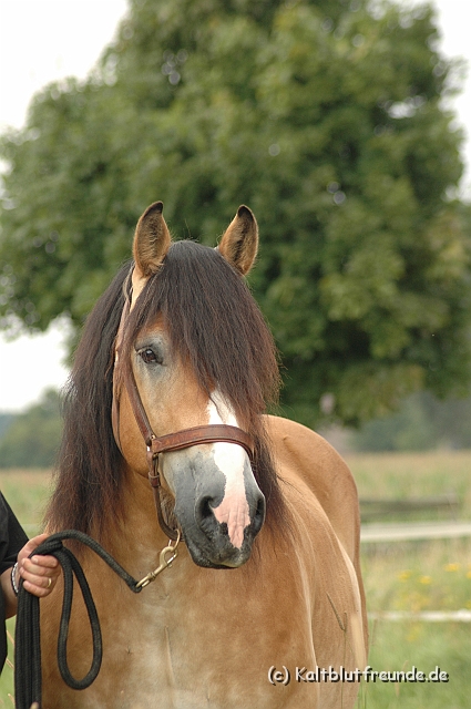 DSC_7795.JPG - Texel PETRA !)))