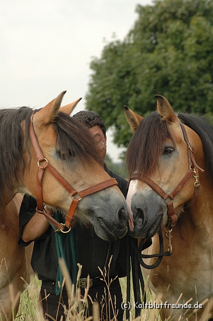 DSC_7797.JPG - Texel PETRA !)))