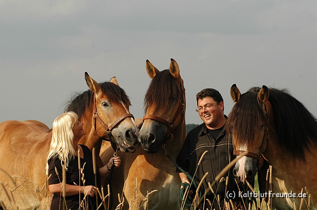 DSC_7818.JPG - Texel PETRA !)))