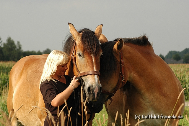 DSC_7830.JPG - Texel PETRA !)))