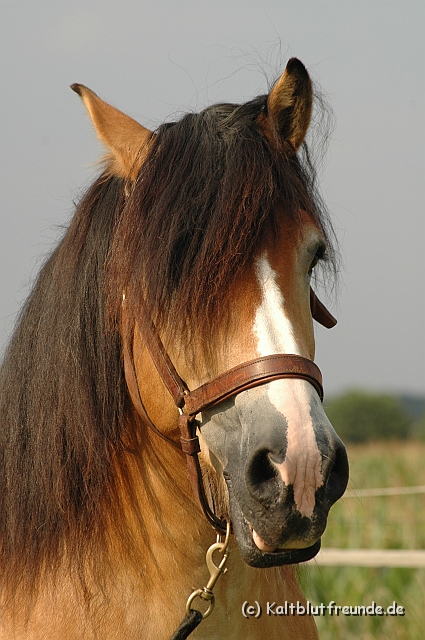 DSC_7846.JPG - Texel PETRA !)))