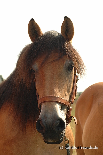 DSC_7848.JPG - Texel PETRA !)))