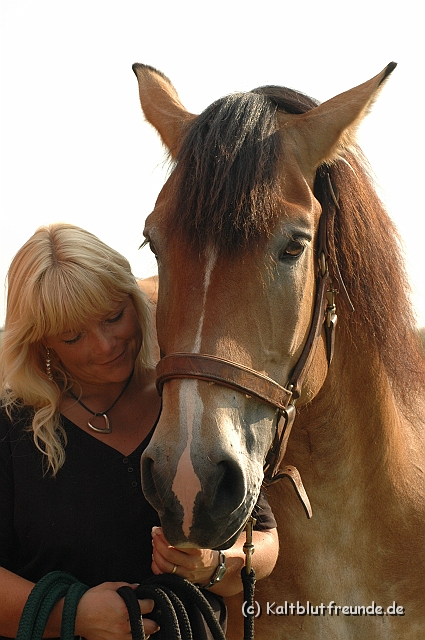 DSC_7850.JPG - Texel PETRA !)))