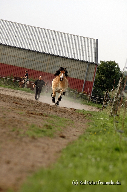 DSC_7896.JPG - Texel PETRA !)))